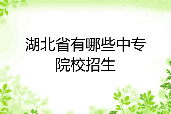 湖北省有哪些中专院校招生