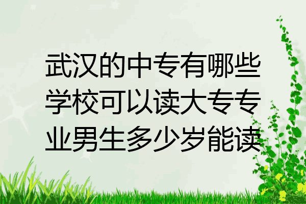 武汉的中专有哪些学校可以读大专专业男生多少岁能读