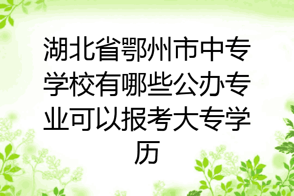 湖北省鄂州市中专学校有哪些公办专业可以报考大专学历