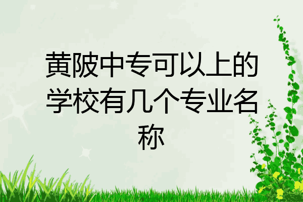 黄陂中专可以上的学校有几个专业名称