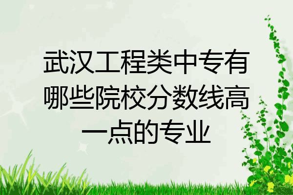 武汉工程类中专有哪些院校分数线高一点的专业
