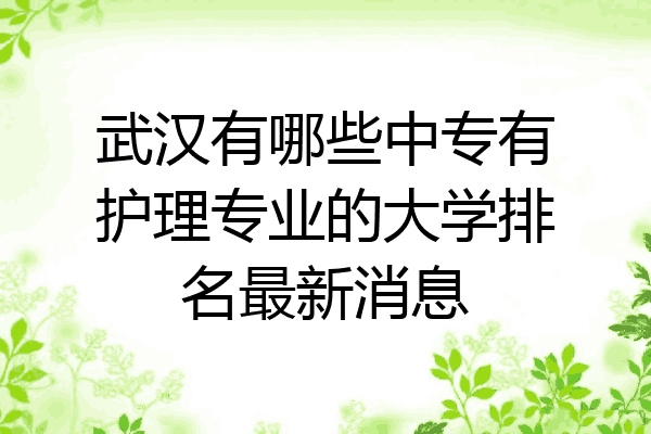 武汉有哪些中专有护理专业的大学排名最新消息