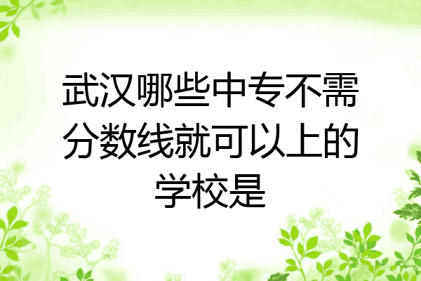 武汉哪些中专不需分数线就可以上的学校是