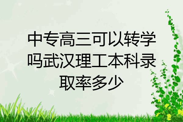 中专高三可以转学吗武汉理工本科录取率多少