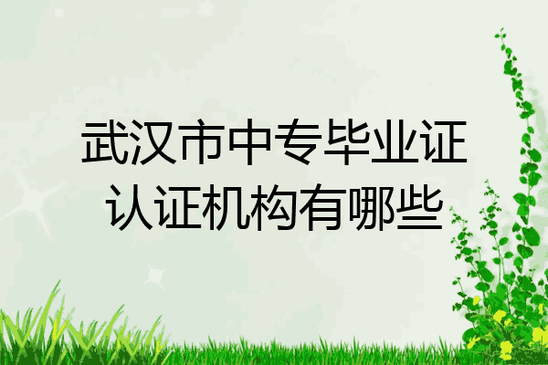 武汉市中专毕业证认证机构有哪些
