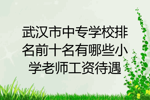 武汉市中专学校排名前十名有哪些小学老师工资待遇