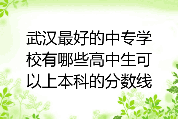武汉最好的中专学校有哪些高中生可以上本科的分数线