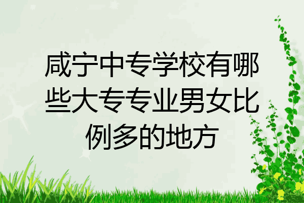 咸宁中专学校有哪些大专专业男女比例多的地方