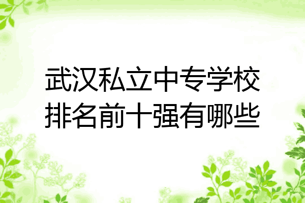 武汉私立中专学校排名前十强有哪些
