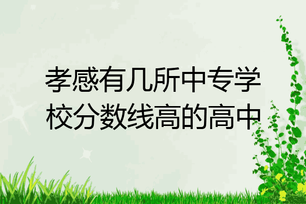 孝感有几所中专学校分数线高的高中
