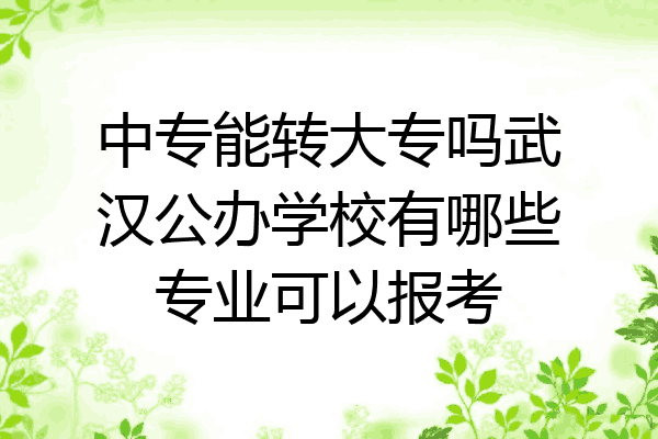 中专能转大专吗武汉公办学校有哪些专业可以报考