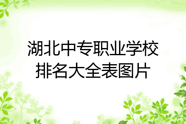湖北中专职业学校排名大全表图片