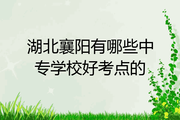 湖北襄阳有哪些中专学校好考点的