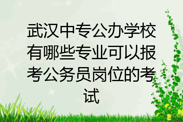武汉中专公办学校有哪些专业可以报考公务员岗位的考试