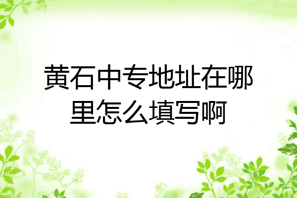黄石中专地址在哪里怎么填写啊