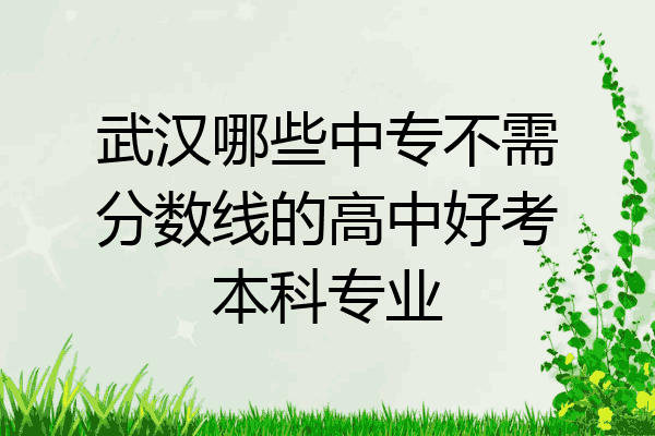 武汉哪些中专不需分数线的高中好考本科专业