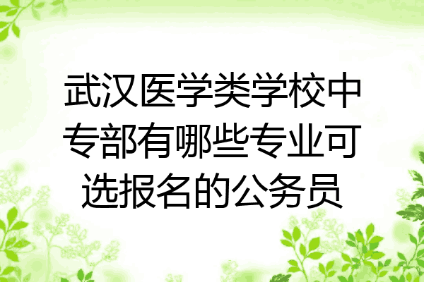 武汉医学类学校中专部有哪些专业可选报名的公务员