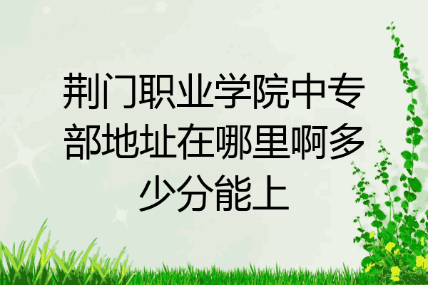 荆门职业学院中专部地址在哪里啊多少分能上