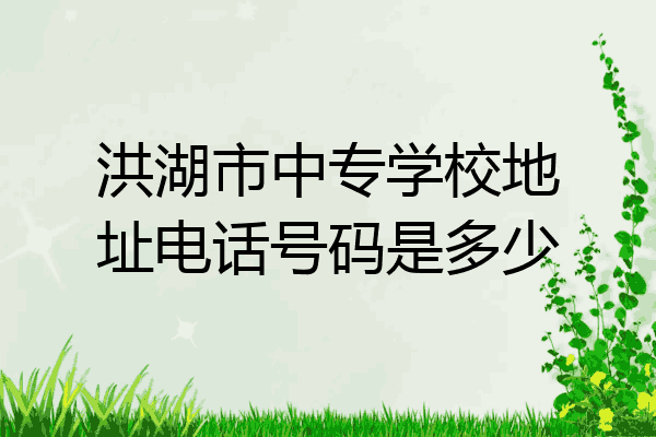 洪湖市中专学校地址电话号码是多少