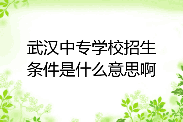 武汉中专学校招生条件是什么意思啊
