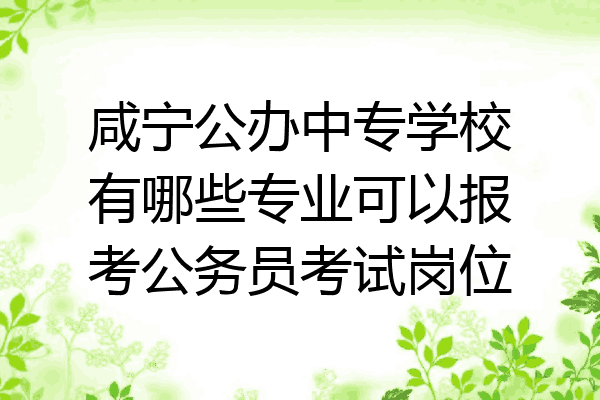 咸宁公办中专学校有哪些专业可以报考公务员考试岗位