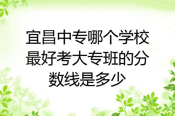 宜昌中专哪个学校最好考大专班的分数线是多少
