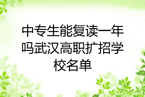 中专生能复读一年吗武汉高职扩招学校名单