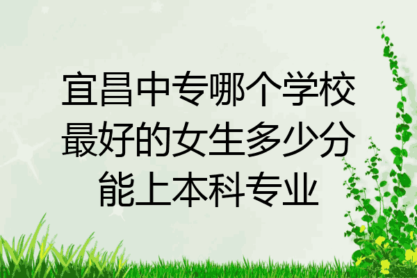 宜昌中专哪个学校最好的女生多少分能上本科专业
