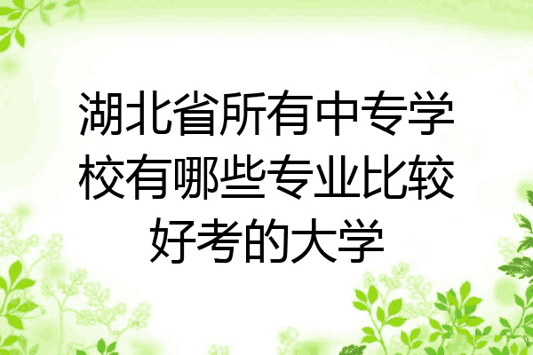 湖北省所有中专学校有哪些专业比较好考的大学