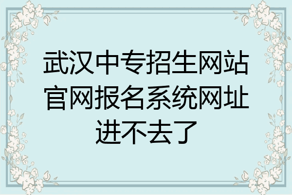 武汉中专招生网站官网报名系统网址进不去了