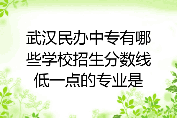 武汉民办中专有哪些学校招生分数线低一点的专业是