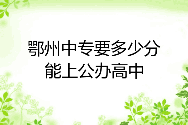 鄂州中专要多少分能上公办高中