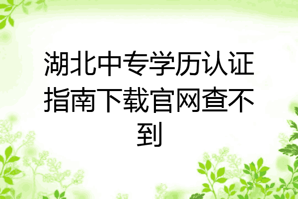 湖北中专学历认证指南下载官网查不到