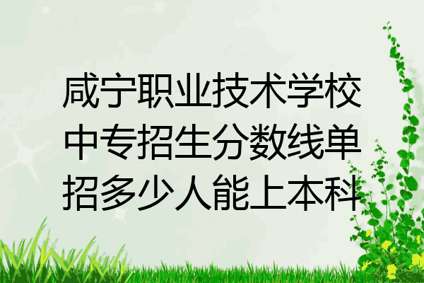 咸宁职业技术学校中专招生分数线单招多少人能上本科