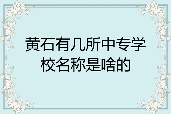 黄石有几所中专学校名称是啥的