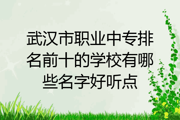 武汉市职业中专排名前十的学校有哪些名字好听点