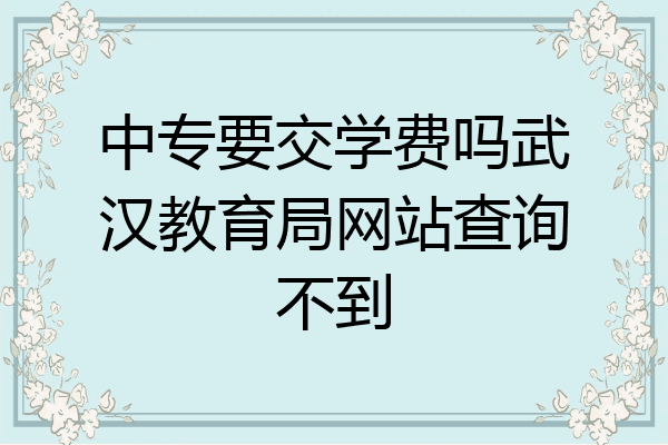 中专要交学费吗武汉教育局网站查询不到