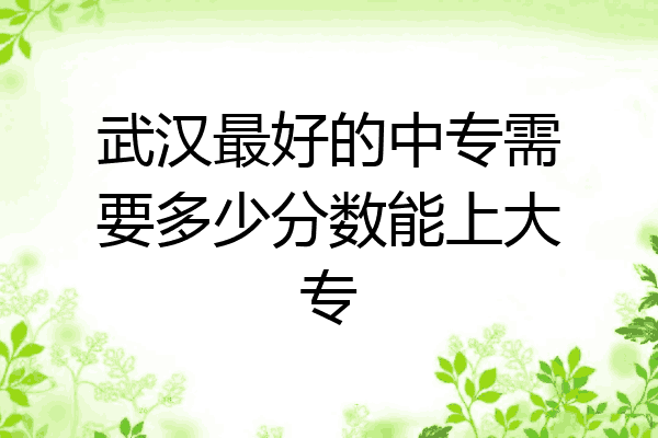 武汉最好的中专需要多少分数能上大专