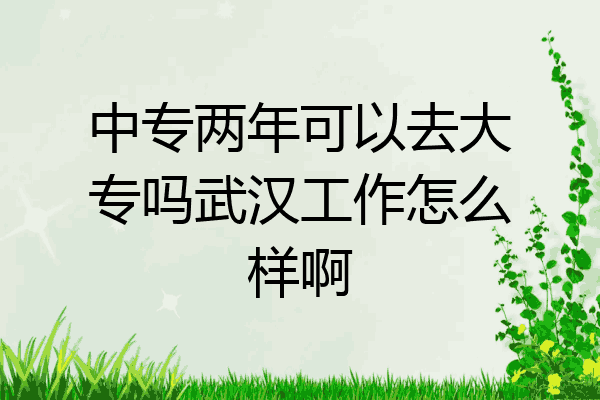 中专两年可以去大专吗武汉工作怎么样啊