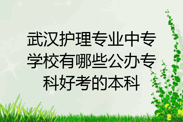 武汉护理专业中专学校有哪些公办专科好考的本科