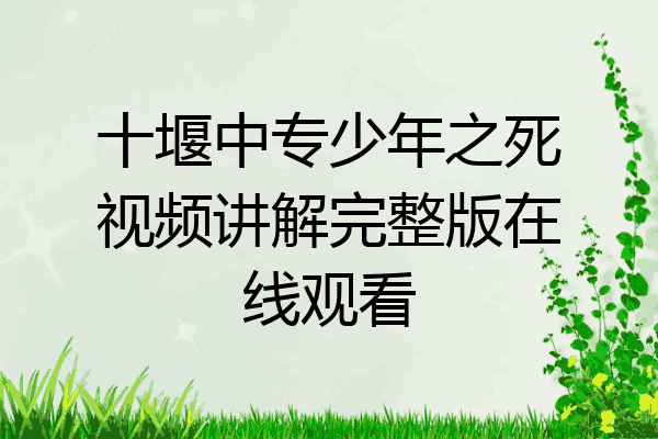 十堰中专少年之死视频讲解完整版在线观看