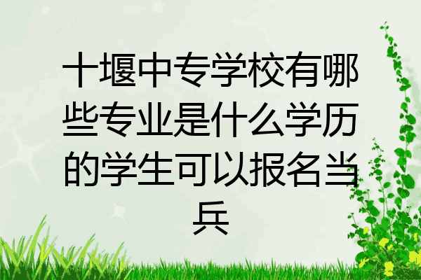 十堰中专学校有哪些专业是什么学历的学生可以报名当兵