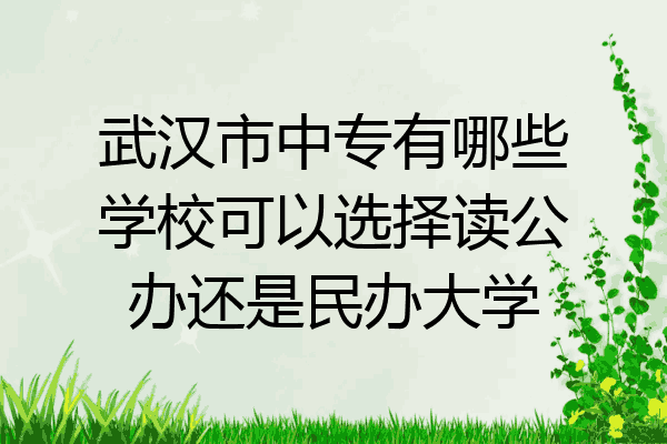 武汉市中专有哪些学校可以选择读公办还是民办大学