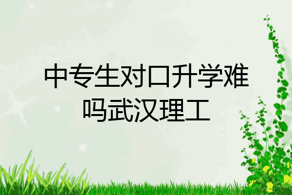 中专生对口升学难吗武汉理工