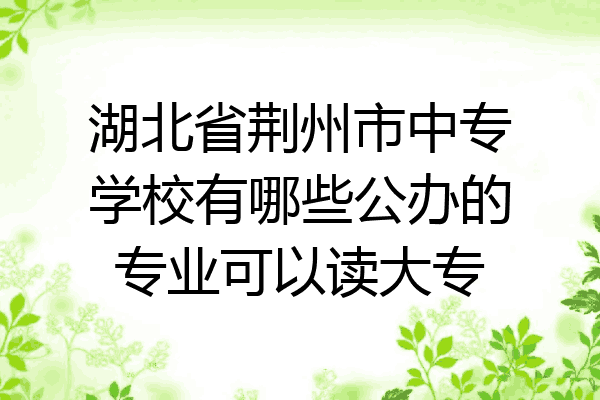 湖北省荆州市中专学校有哪些公办的专业可以读大专