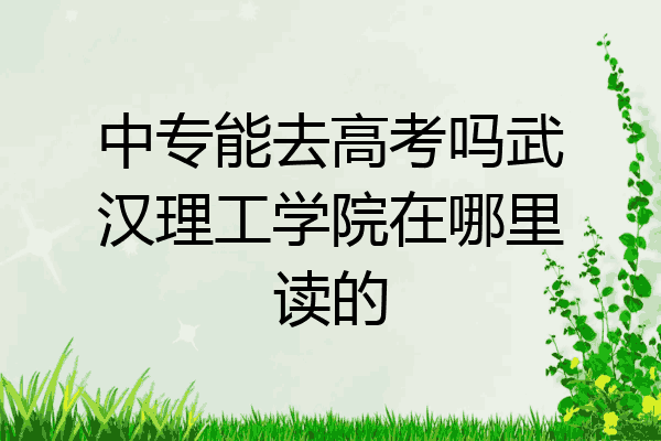 中专能去高考吗武汉理工学院在哪里读的