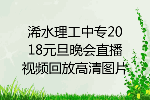 浠水理工中专2018元旦晚会直播视频回放高清图片