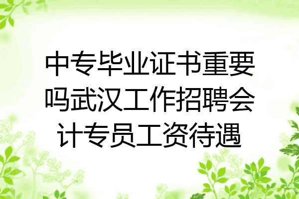 中专毕业证书重要吗武汉工作招聘会计专员工资待遇