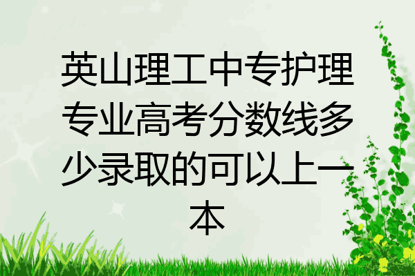 英山理工中专护理专业高考分数线多少录取的可以上一本