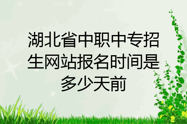 湖北省中职中专招生网站报名时间是多少天前